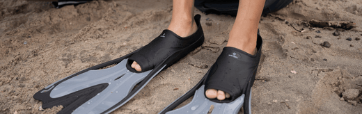 Zo bestrijd je waterwratten